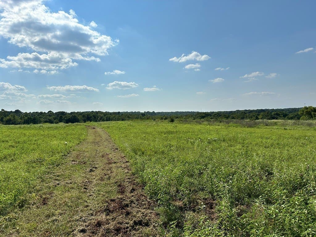 5 acres in ANDERSON County featured view