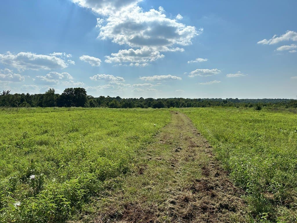 5 acres in ANDERSON County - photo 6
