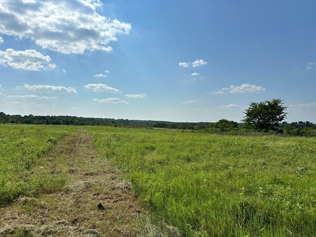 5 acres in ANDERSON County gallery image 3