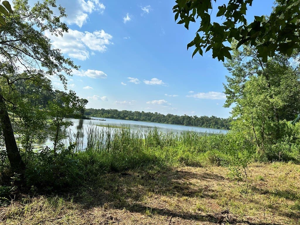 5 acres in ANDERSON County - photo 10