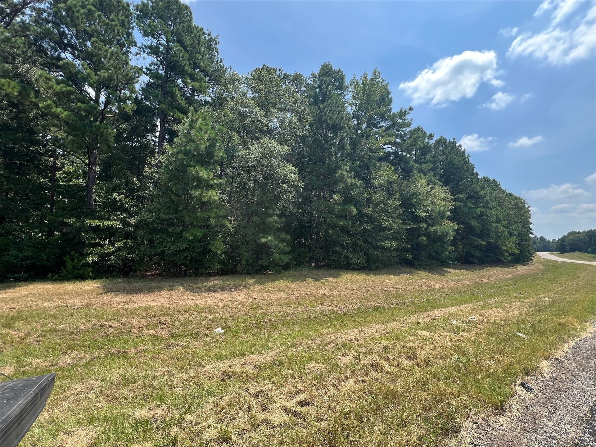 12 acres in Camp County - photo 2