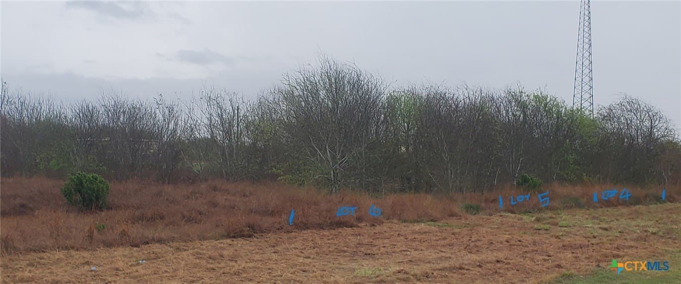 0.48 acres in Calhoun County gallery image 3