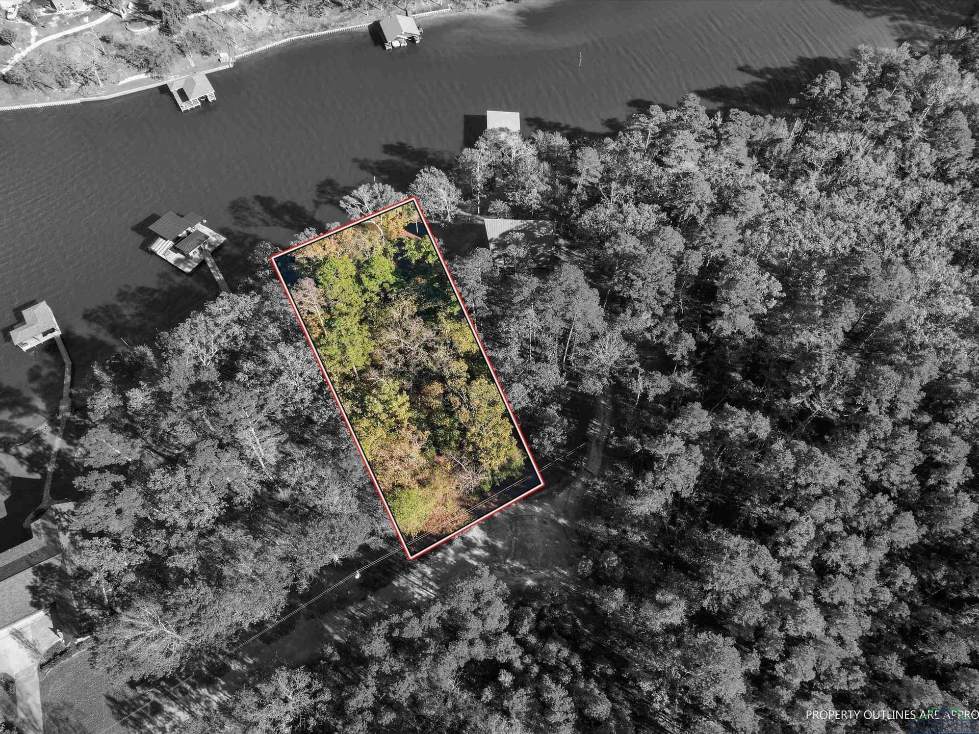 0.56 acres in Camp County gallery image 2