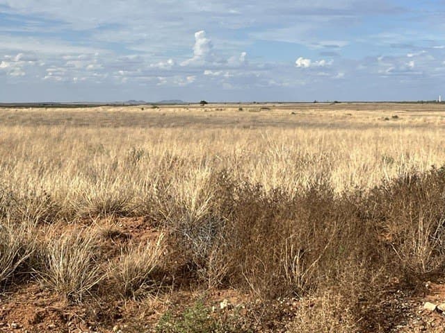 160 acres in Fisher County - photo 3