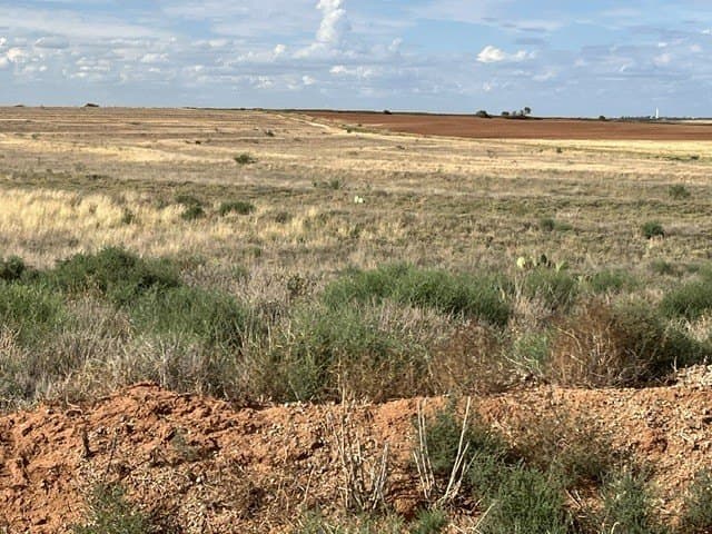 160 acres in Fisher County - photo 4