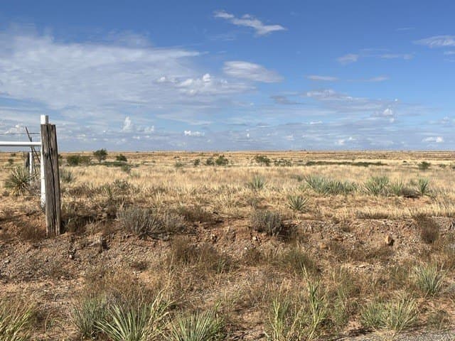 160 acres in Fisher County - photo 2