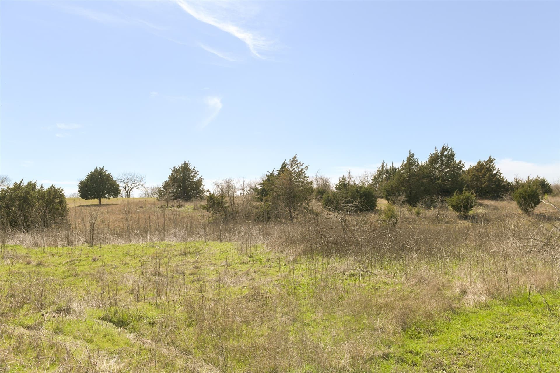 2 acres in Ellis County - photo 14