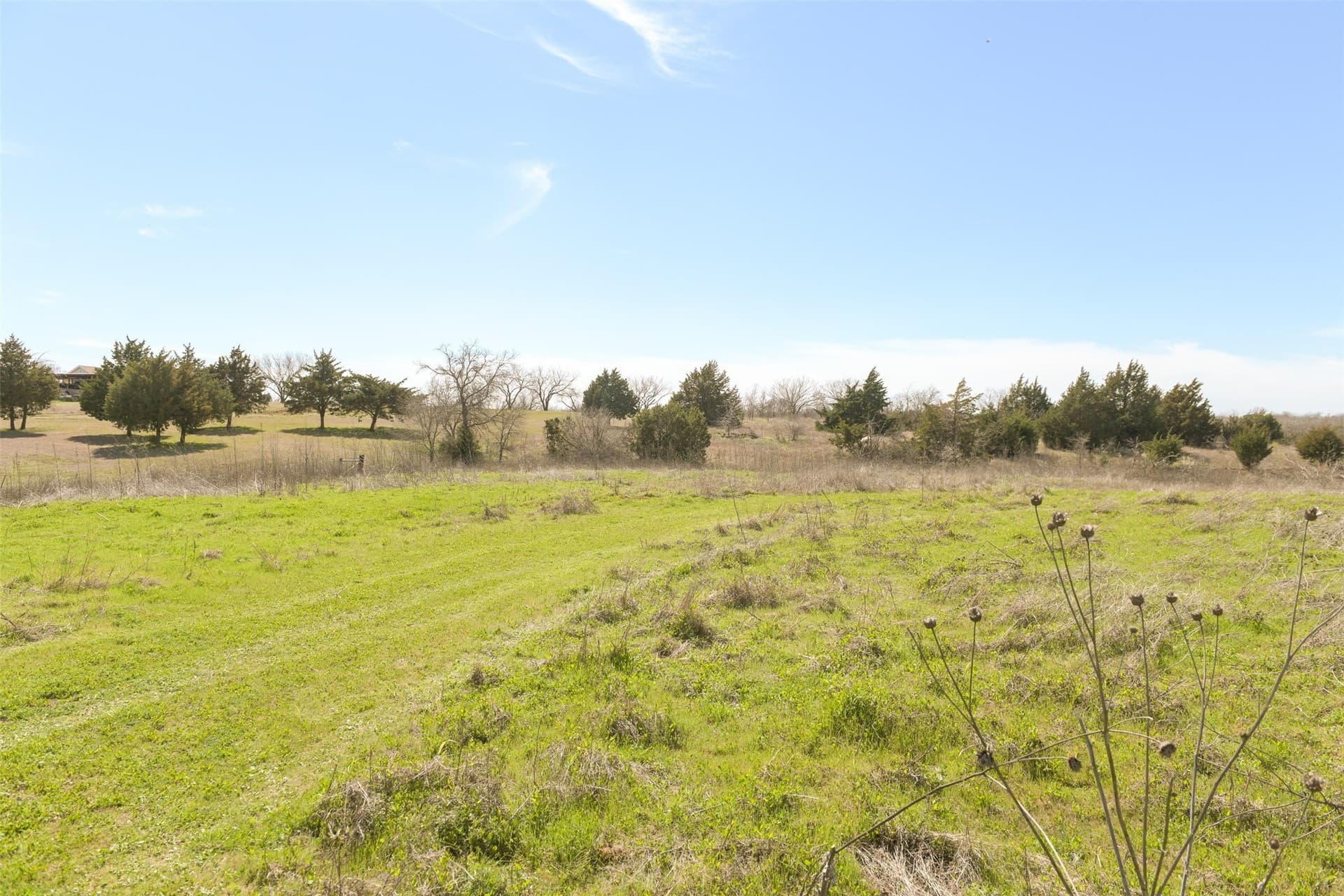 2 acres in Ellis County - photo 13