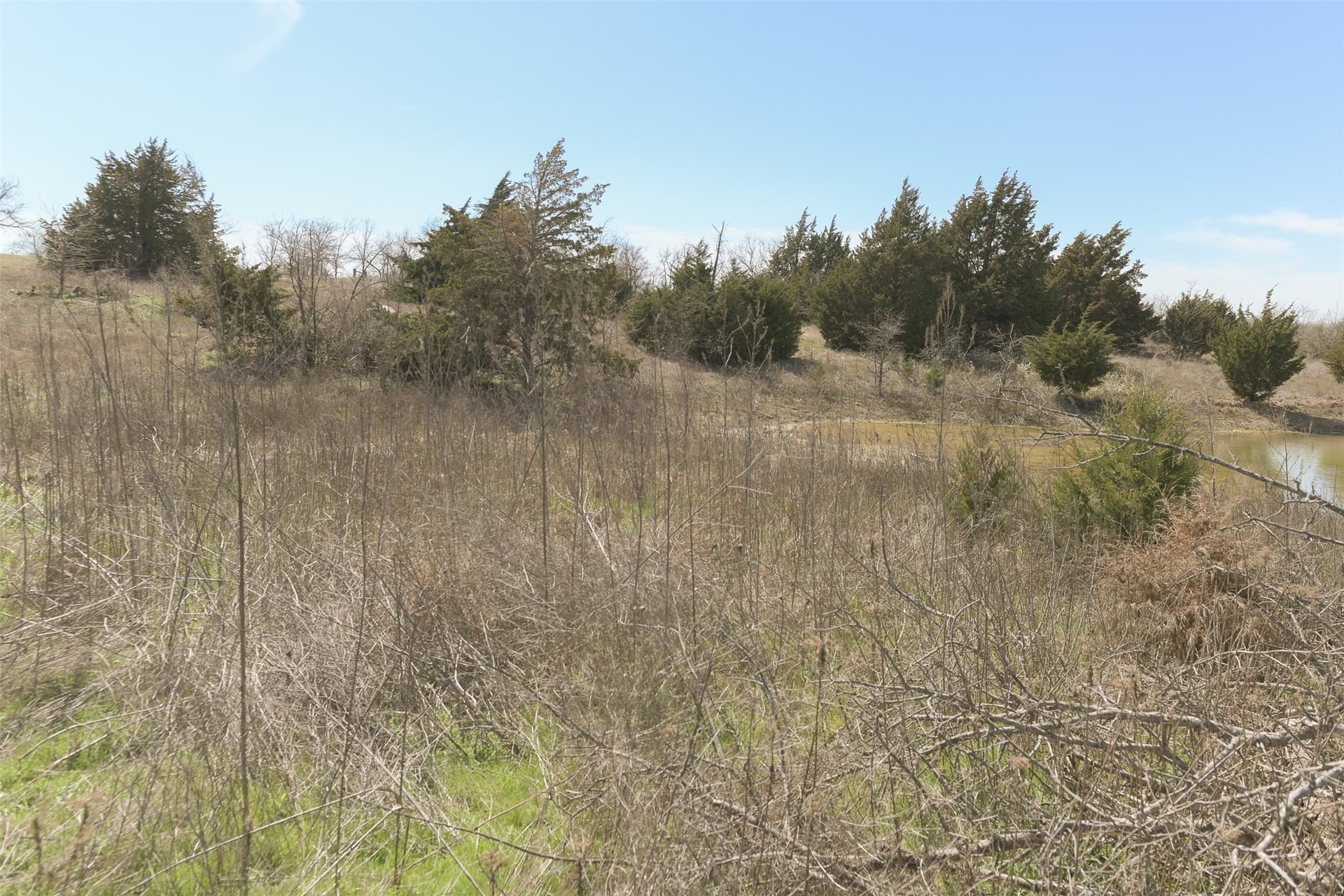 2 acres in Ellis County - photo 17