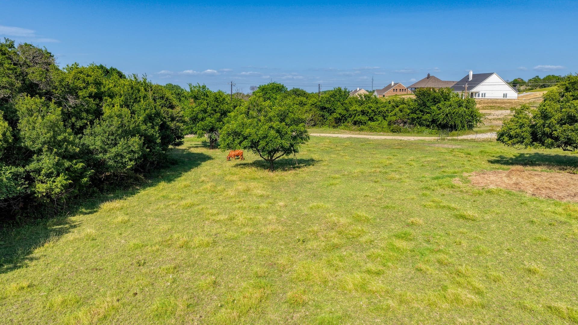 10.01 acres in Parker County - photo 15
