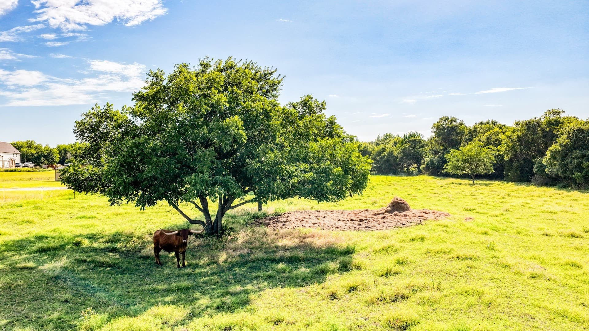 10.01 acres in Parker County - photo 14