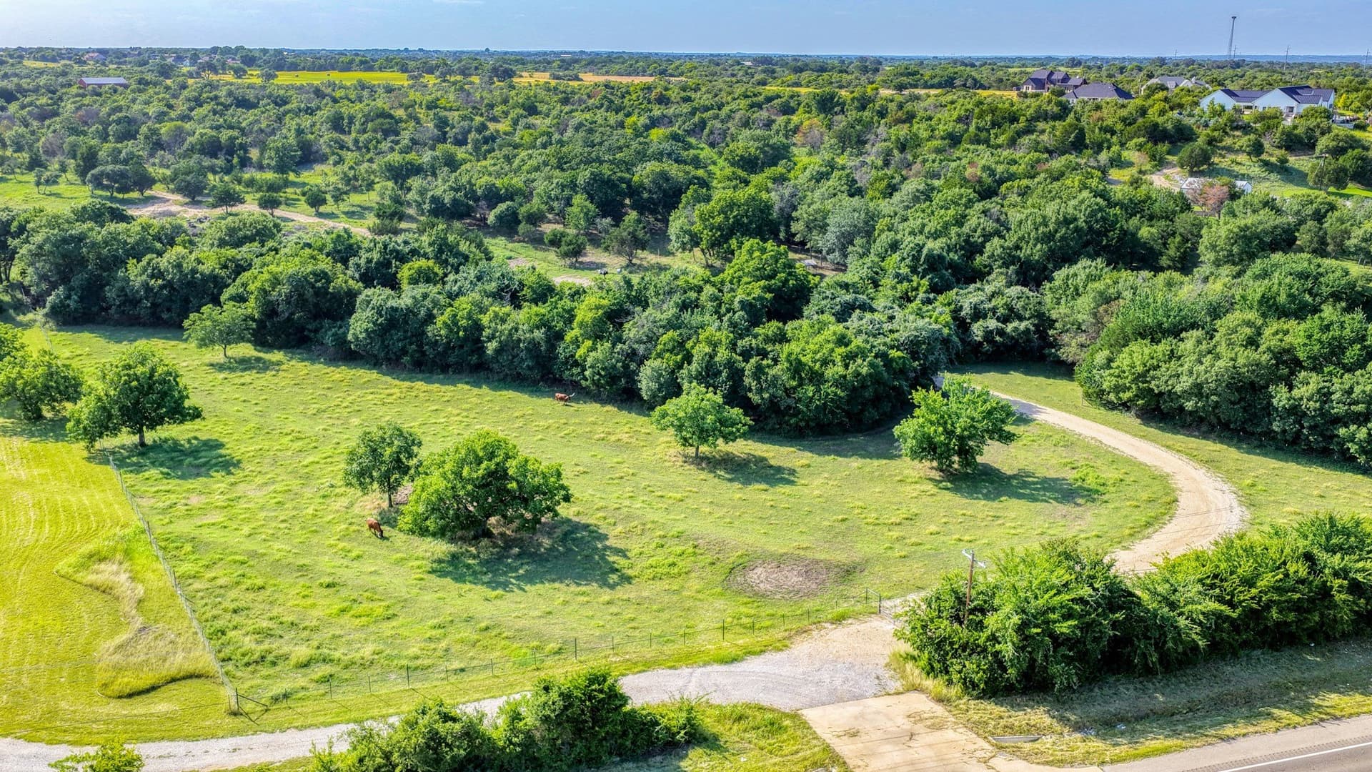 10.01 acres in Parker County - photo 13