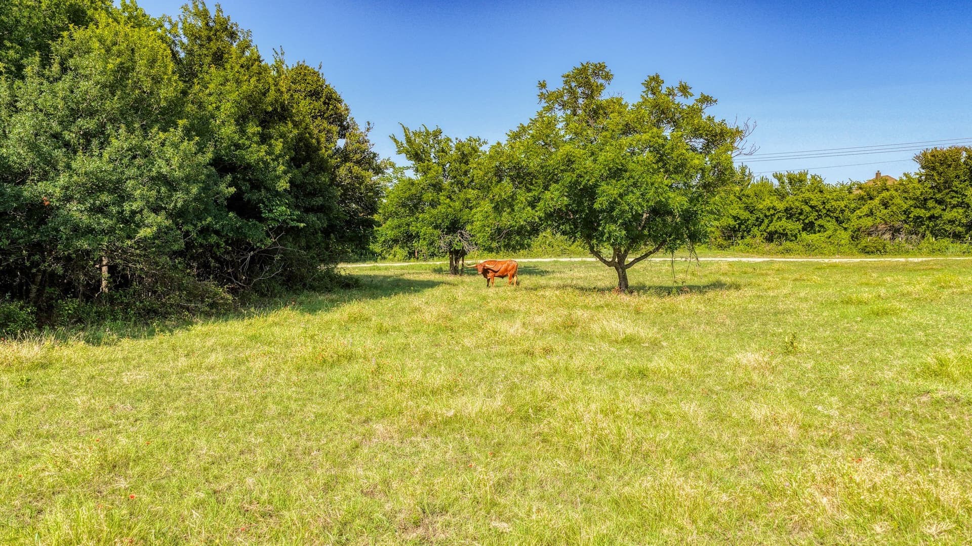 10.01 acres in Parker County - photo 16