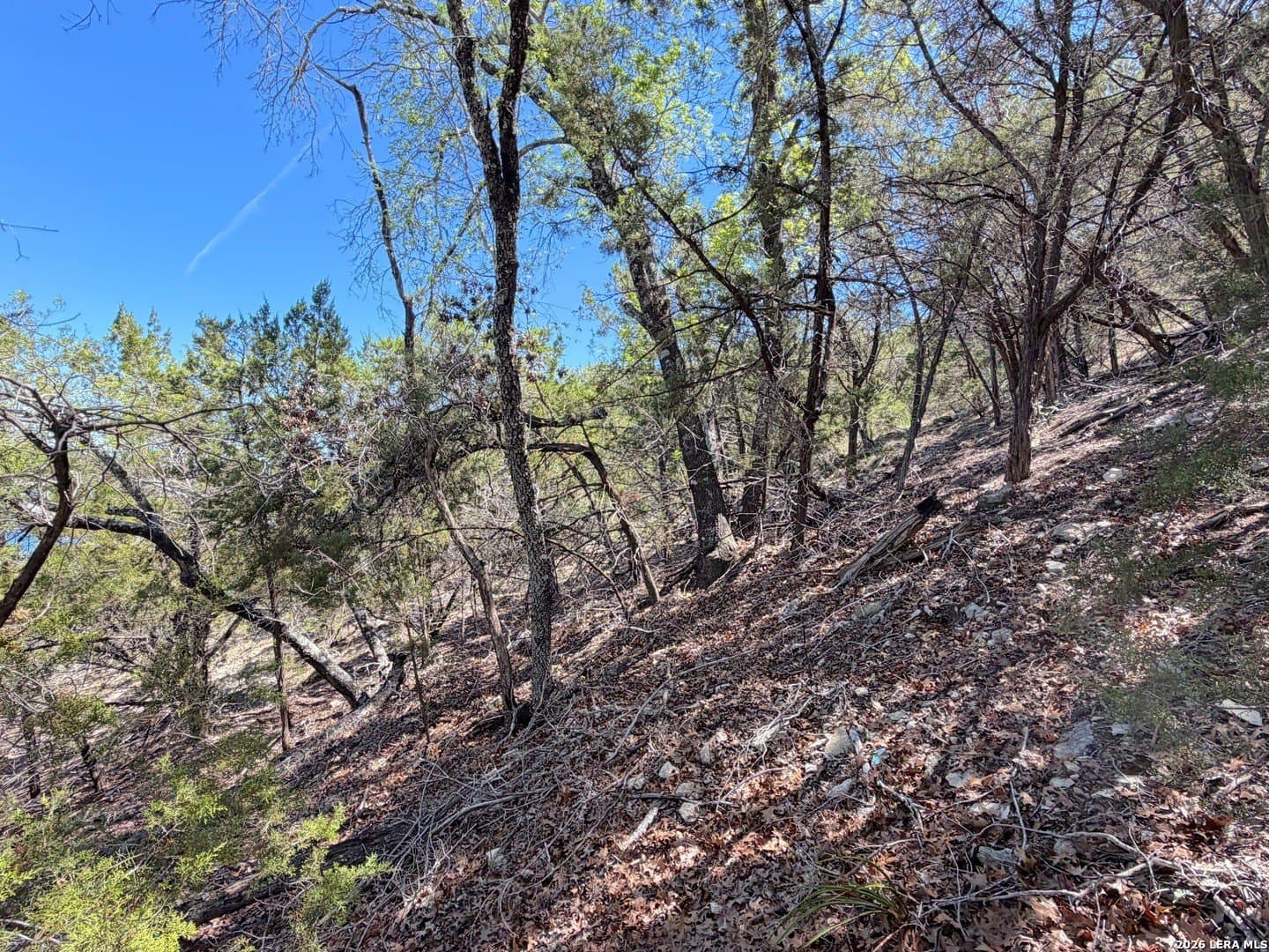 0.48 acres in Comal County - photo 13