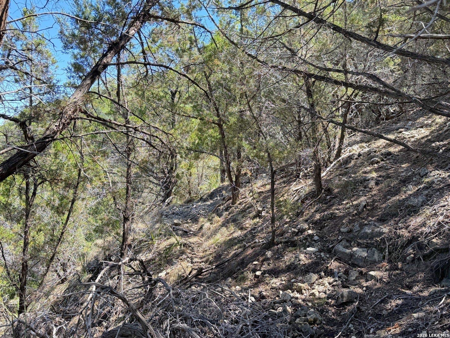 0.48 acres in Comal County - photo 18