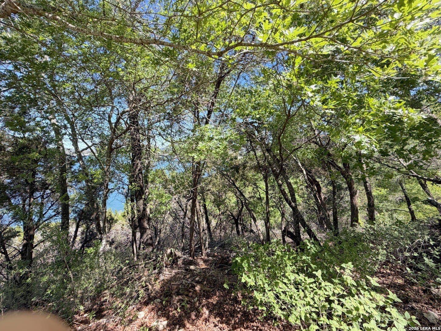 0.48 acres in Comal County - photo 11