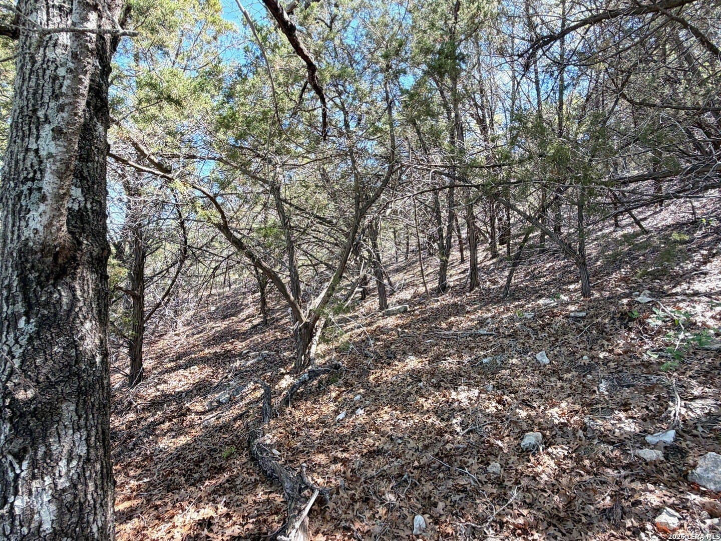 0.48 acres in Comal County featured view