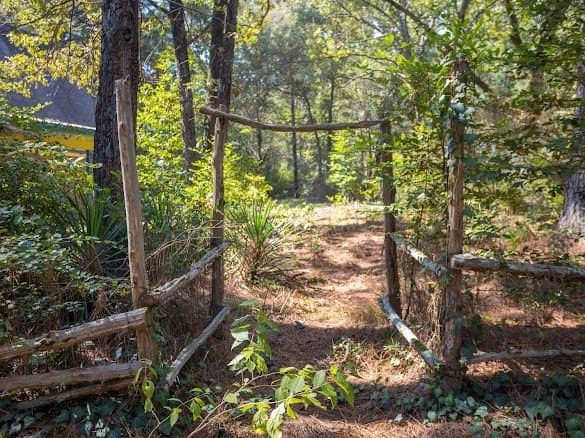 20.17 acres in ANDERSON County - photo 38