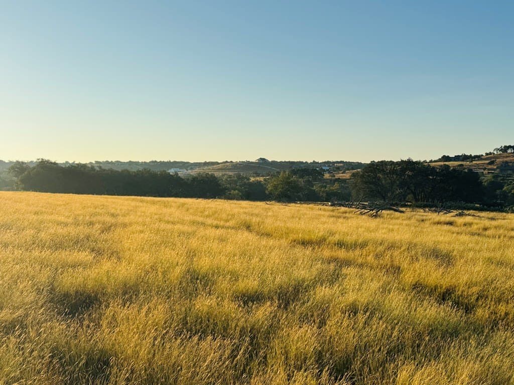 5.36 acres in Blanco County gallery image 3