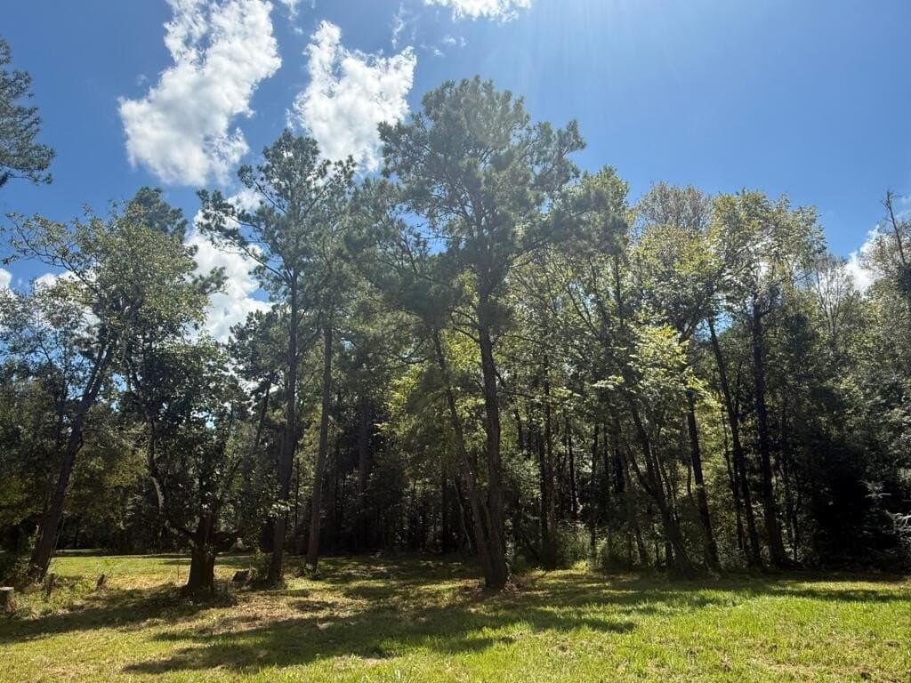 3.3 acres in Texas County - photo 7