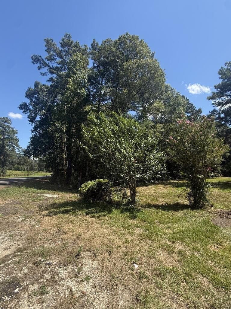 3.3 acres in Texas County - photo 10