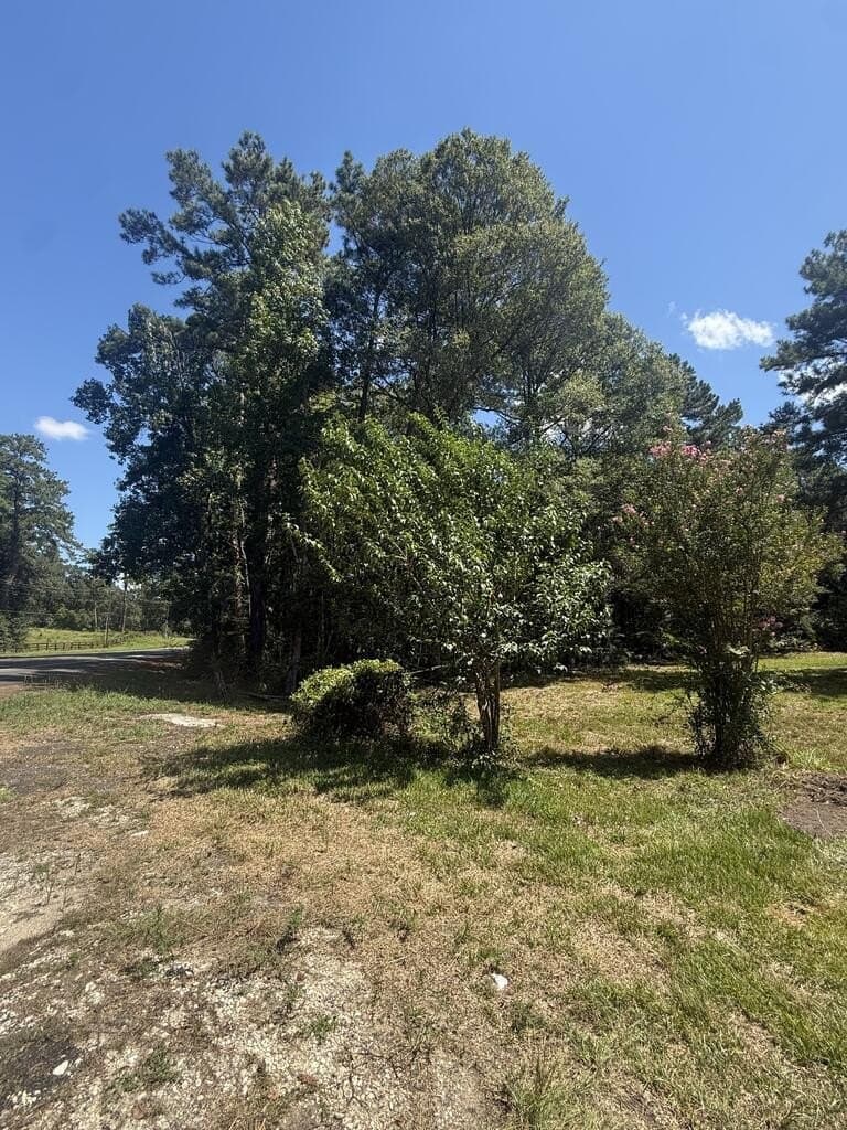 3.3 acres in Texas County - photo 12