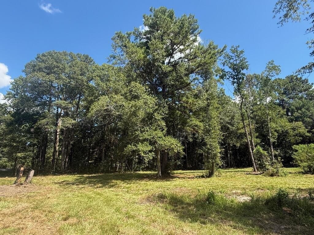 3.3 acres in Texas County - photo 3