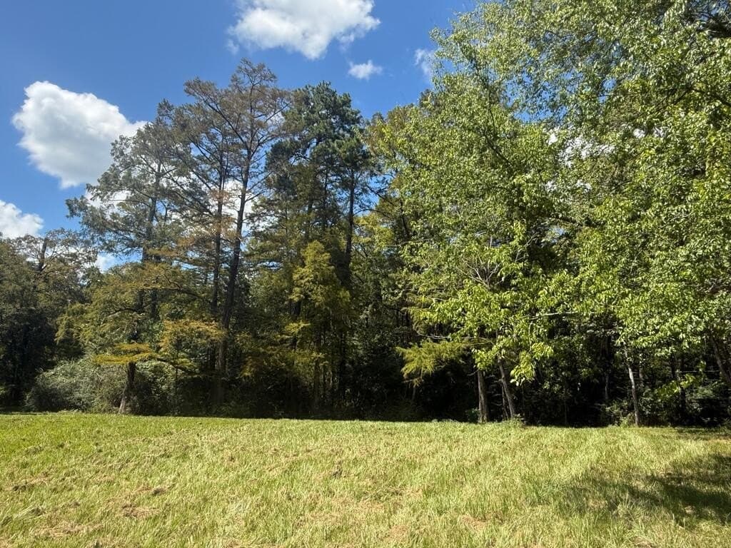 3.3 acres in Texas County - photo 8