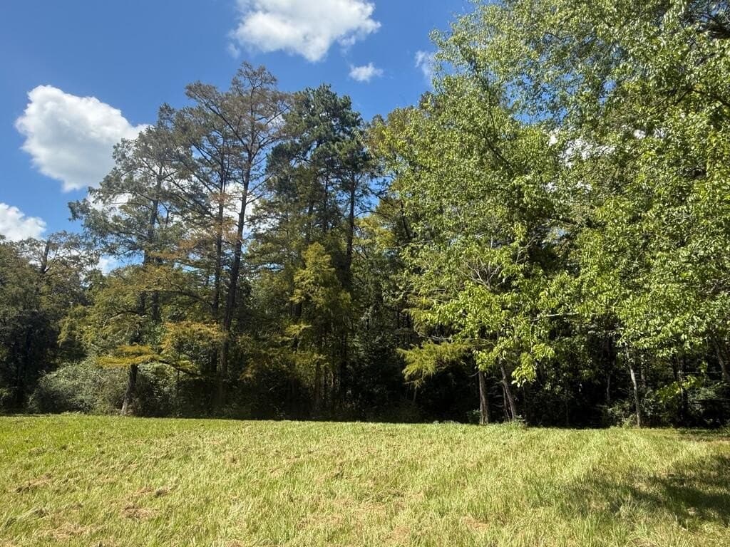 3.3 acres in Texas County - photo 9