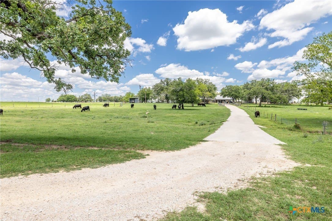30.03 acres in Gonzales County - photo 33
