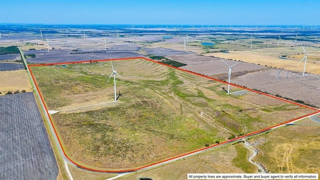 299.25 acres in Limestone County featured view