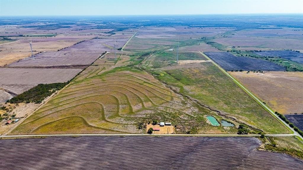 299.25 acres in Limestone County gallery image 4