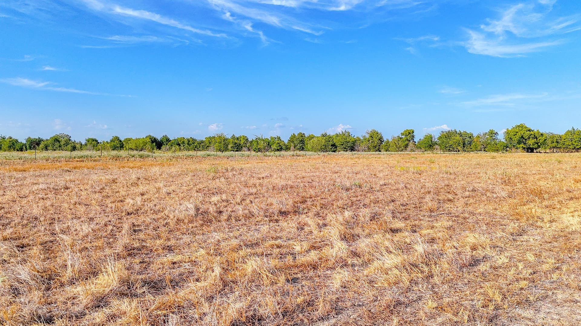 21 acres in Navarro County - photo 11