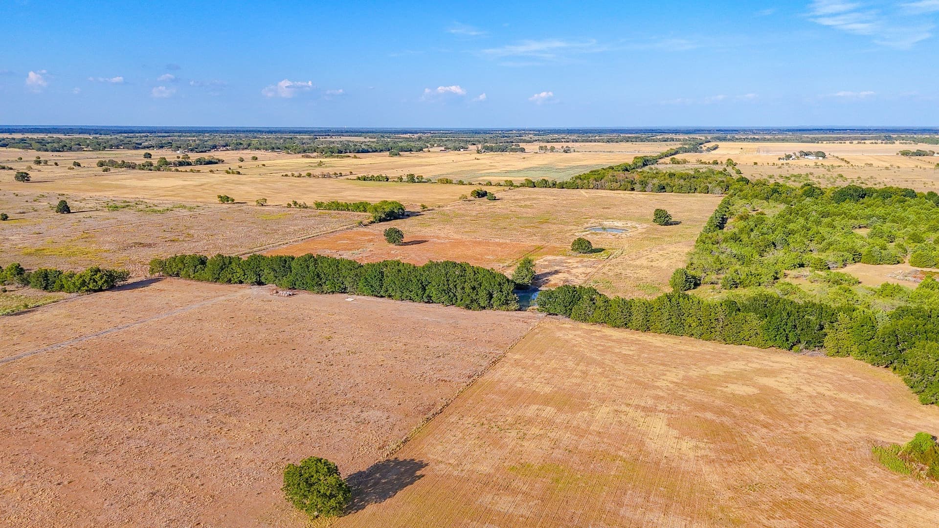 21 acres in Navarro County - photo 21