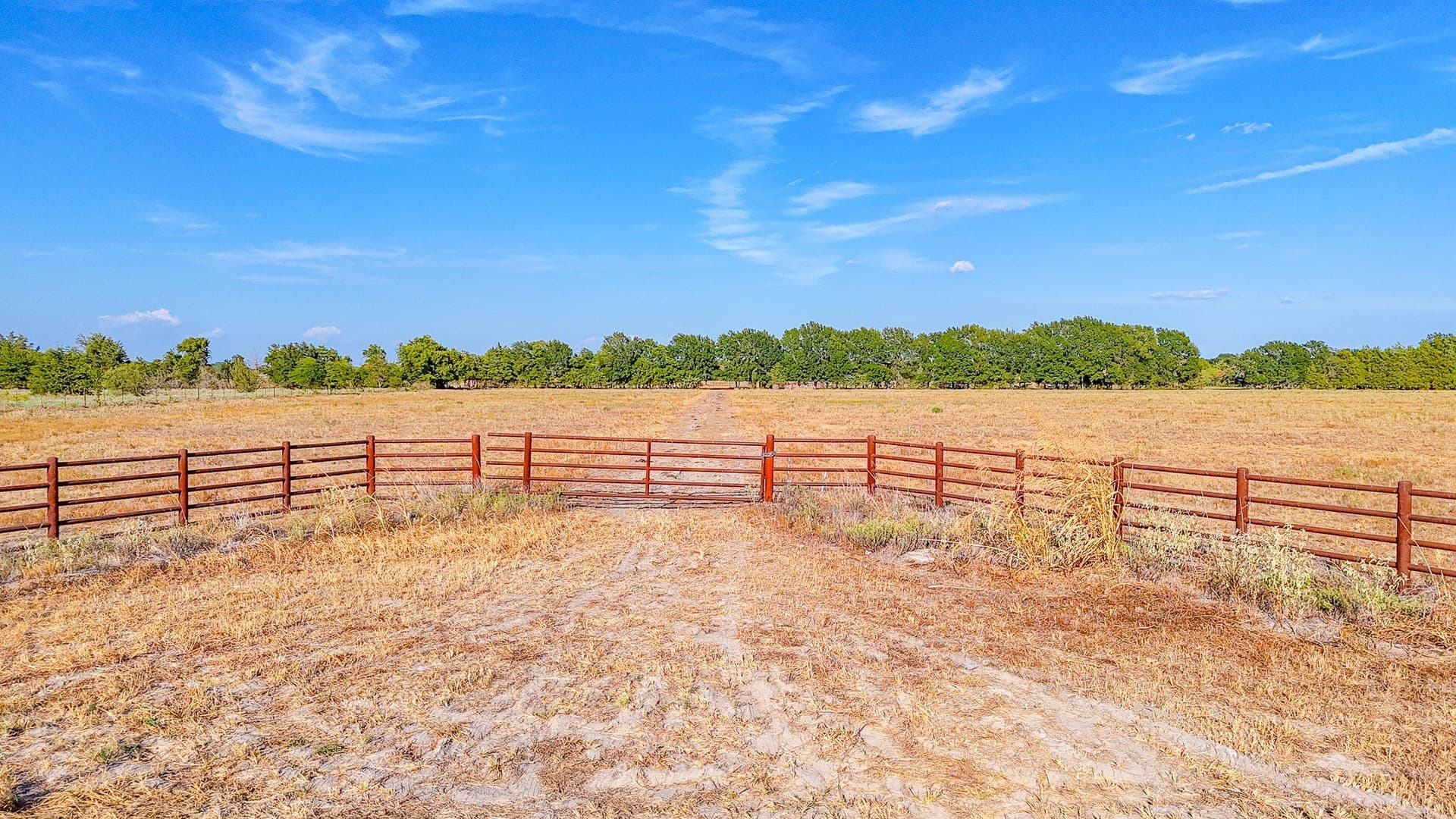 21 acres in Navarro County - photo 7