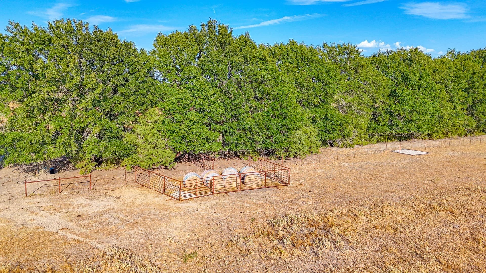 21 acres in Navarro County - photo 6