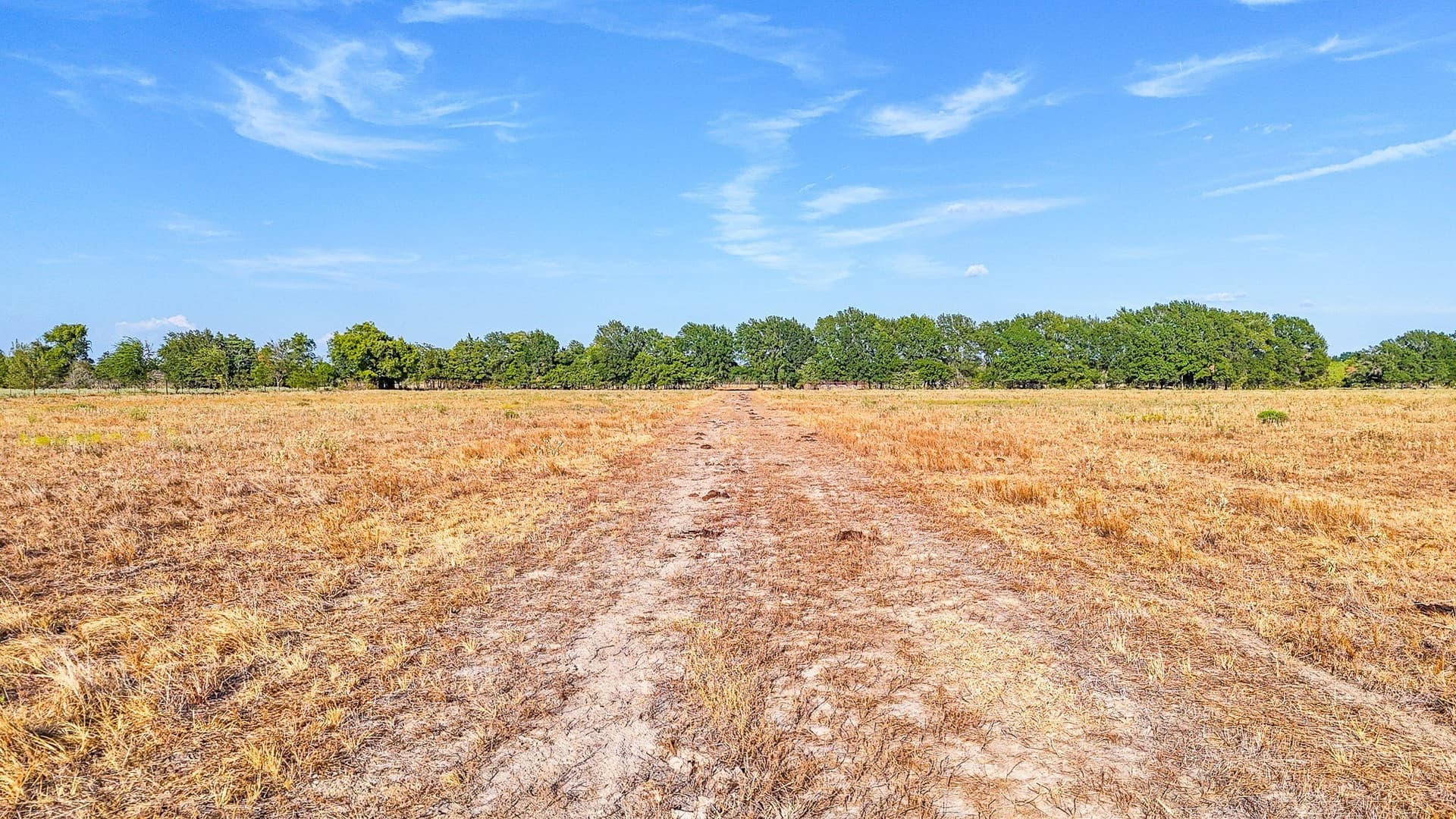 21 acres in Navarro County - photo 9