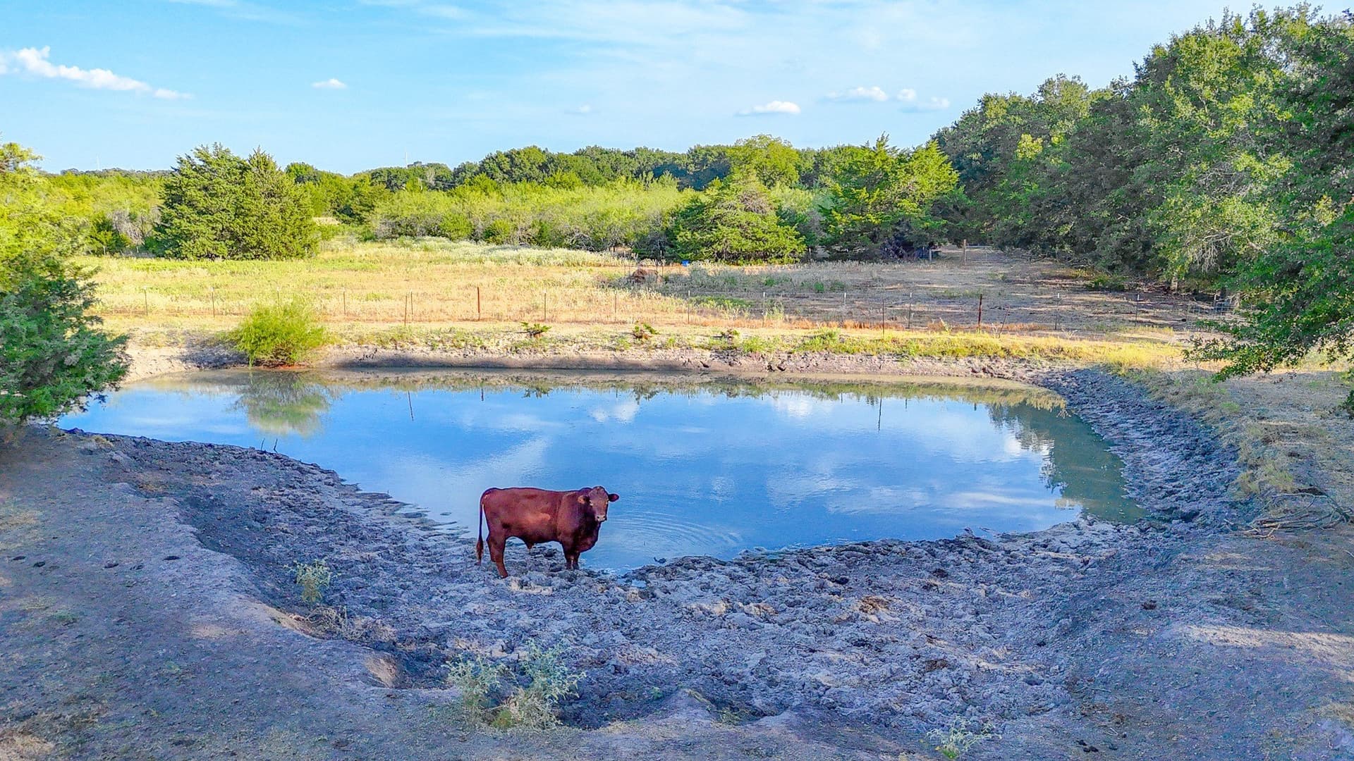 21 acres in Navarro County - photo 2