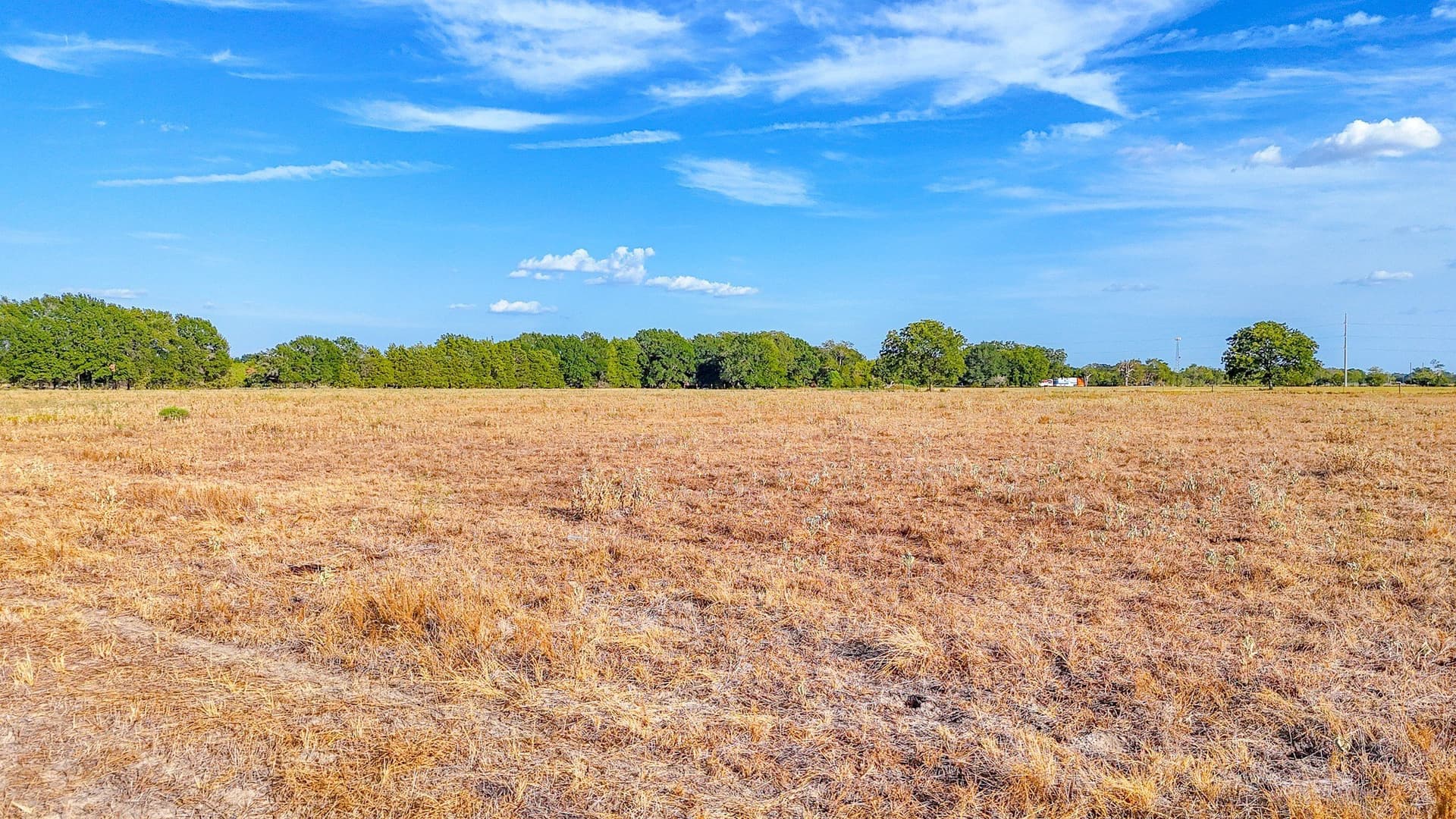 21 acres in Navarro County - photo 10