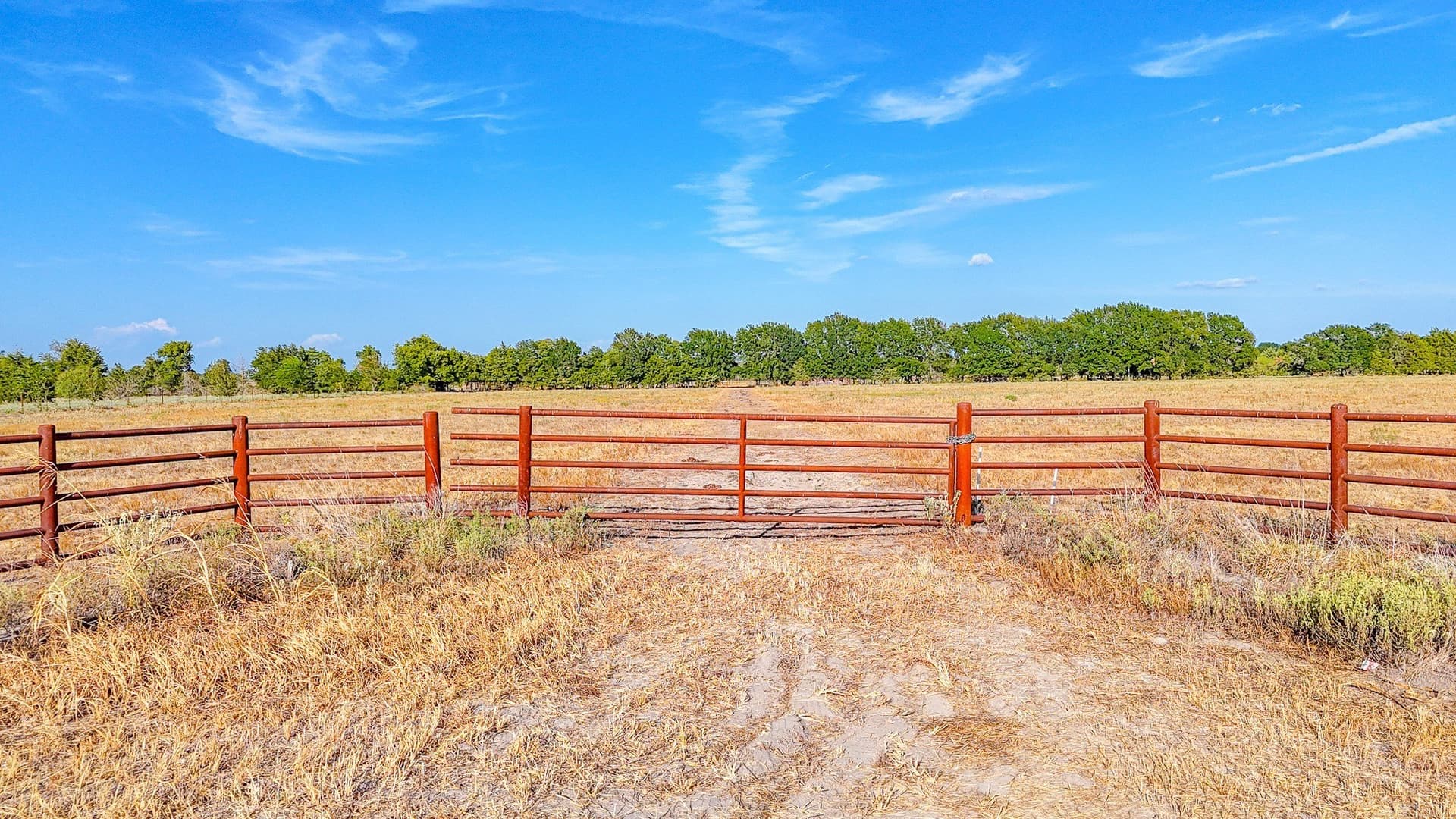 21 acres in Navarro County - photo 8