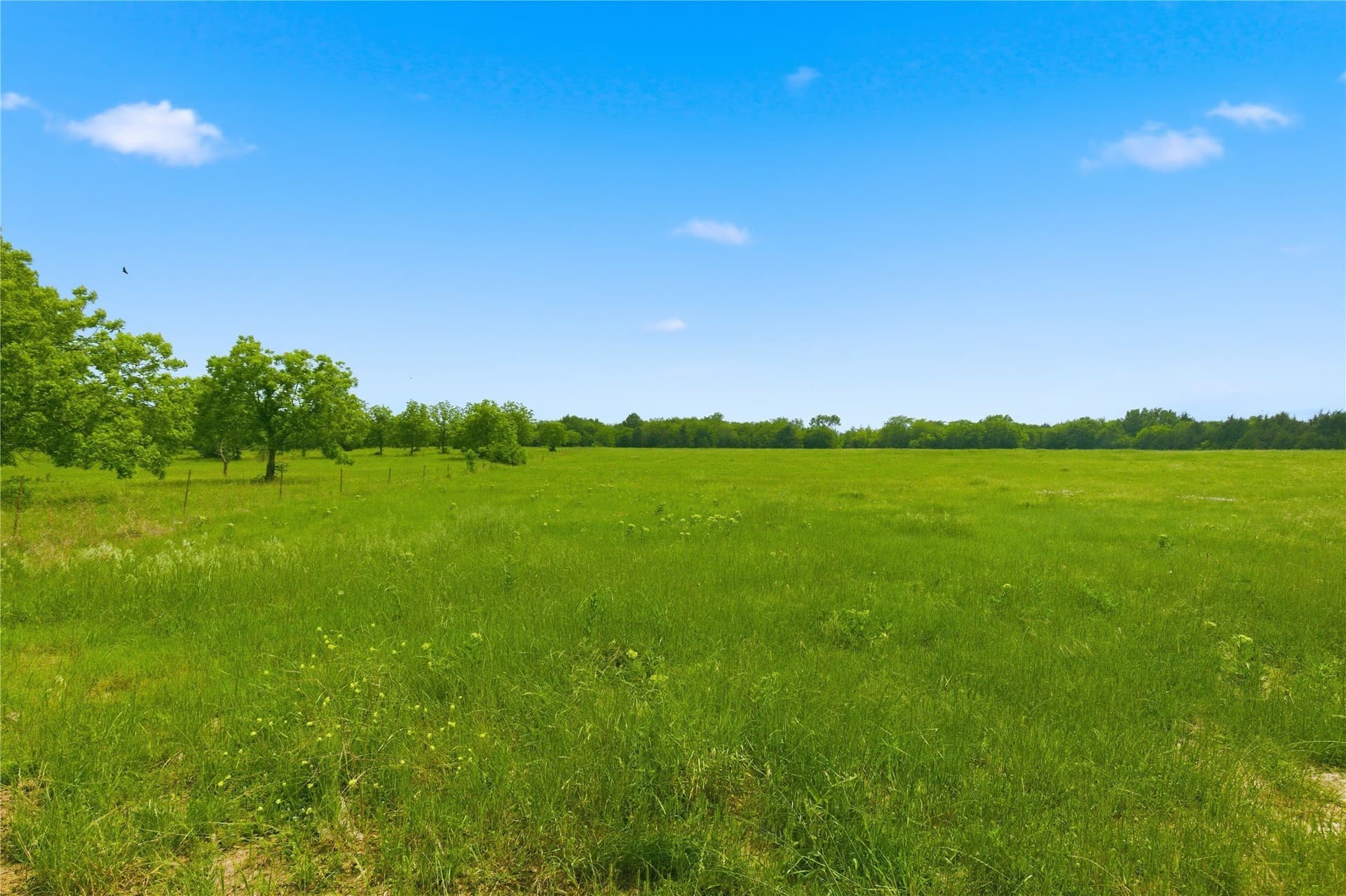 1.38 acres in Hunt County - photo 22