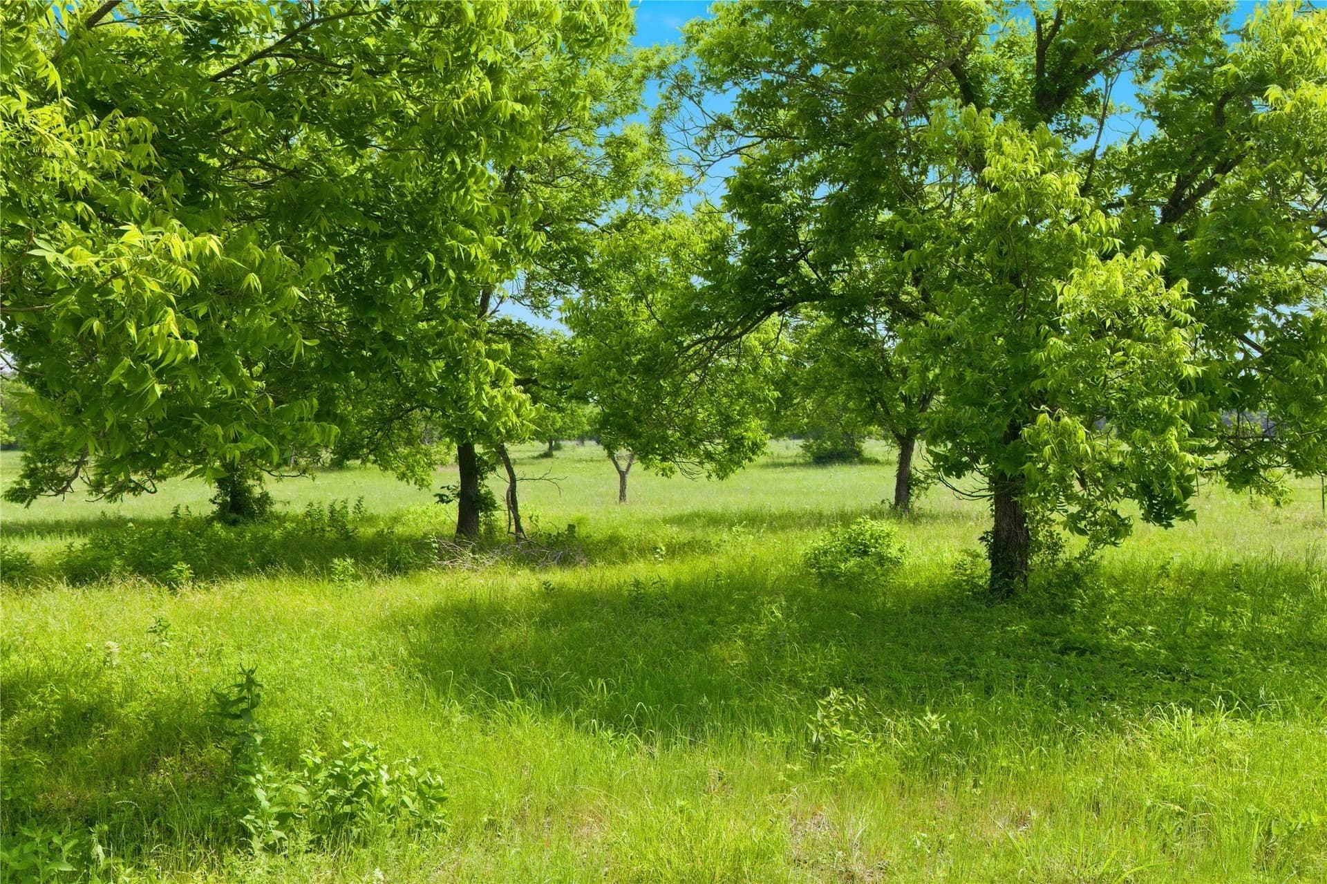 1.38 acres in Hunt County - photo 21