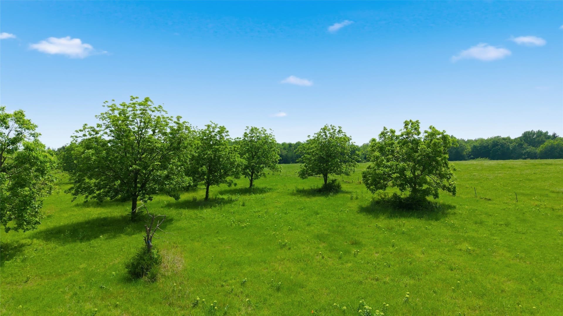 1.38 acres in Hunt County - photo 19