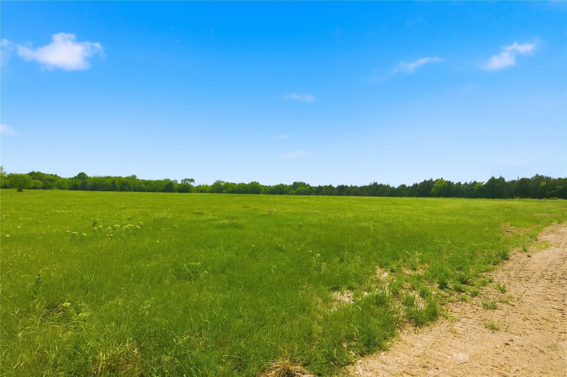1.38 acres in Hunt County - photo 26