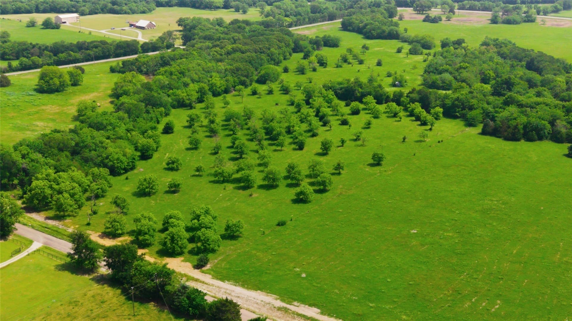 1.38 acres in Hunt County - photo 9