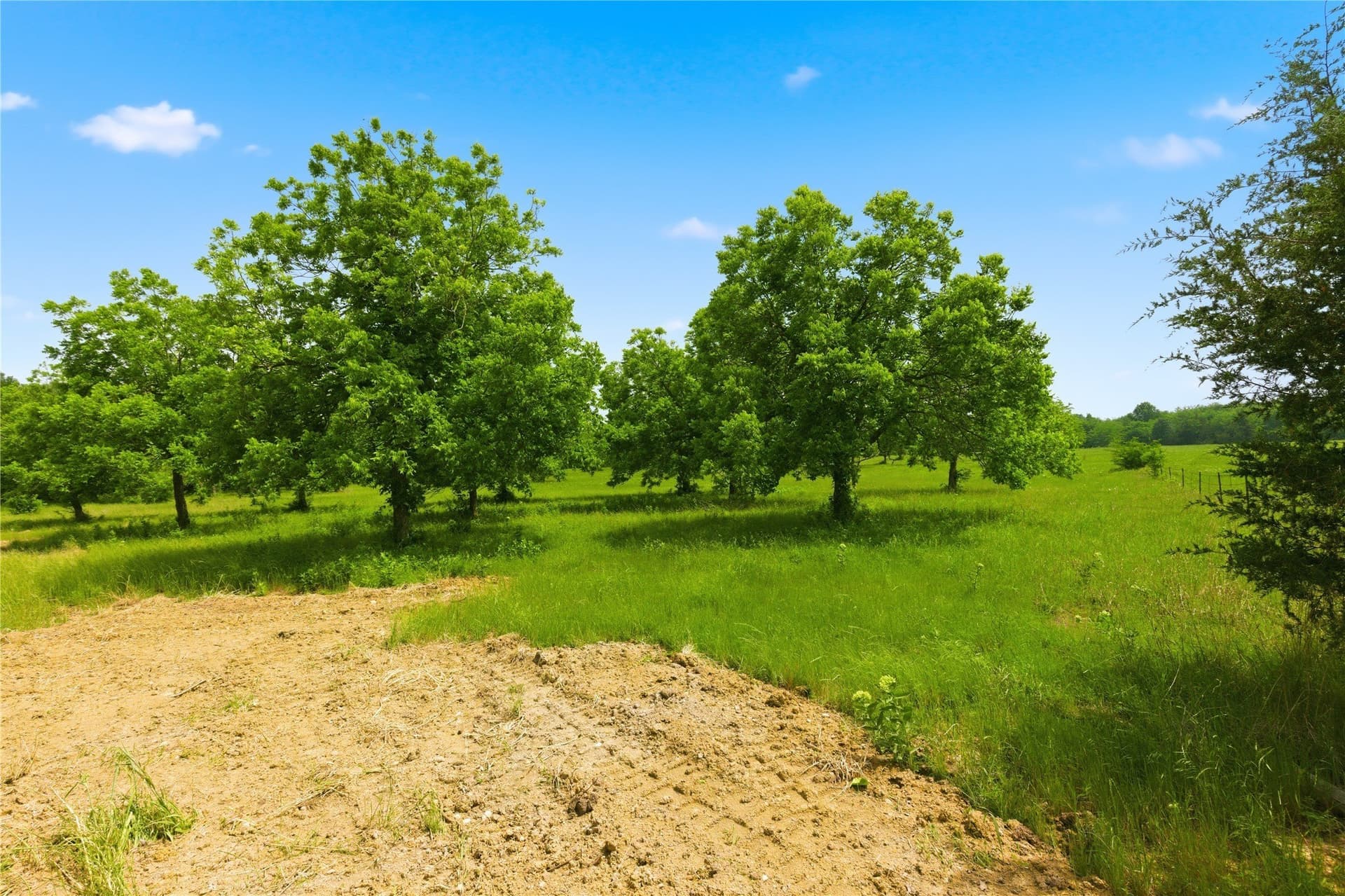1.38 acres in Hunt County - photo 25