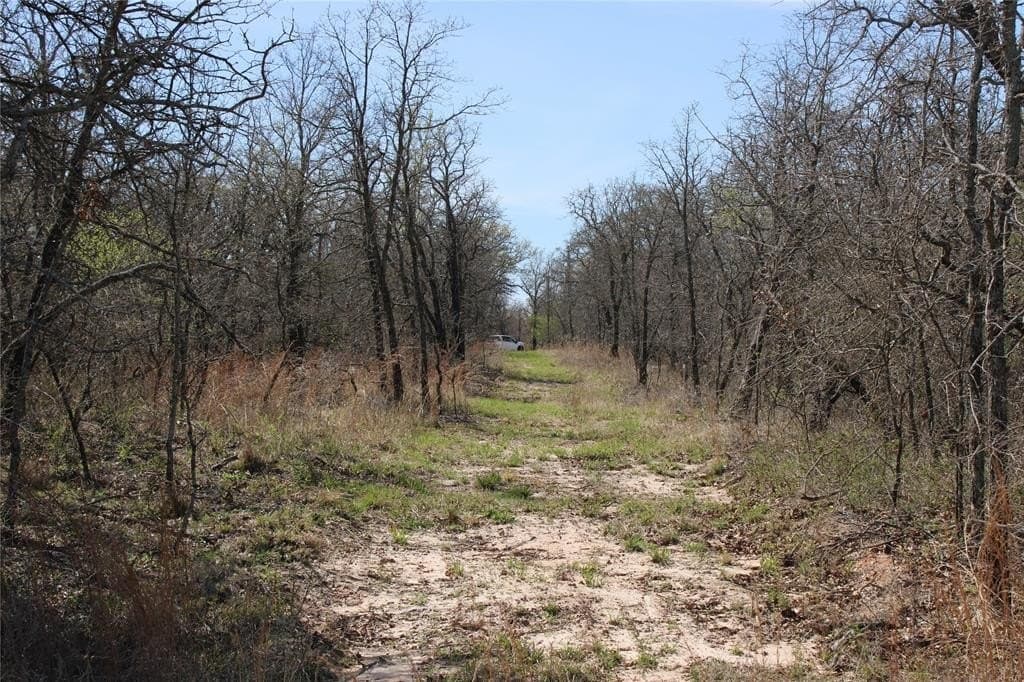 13.5 acres in Jack County
