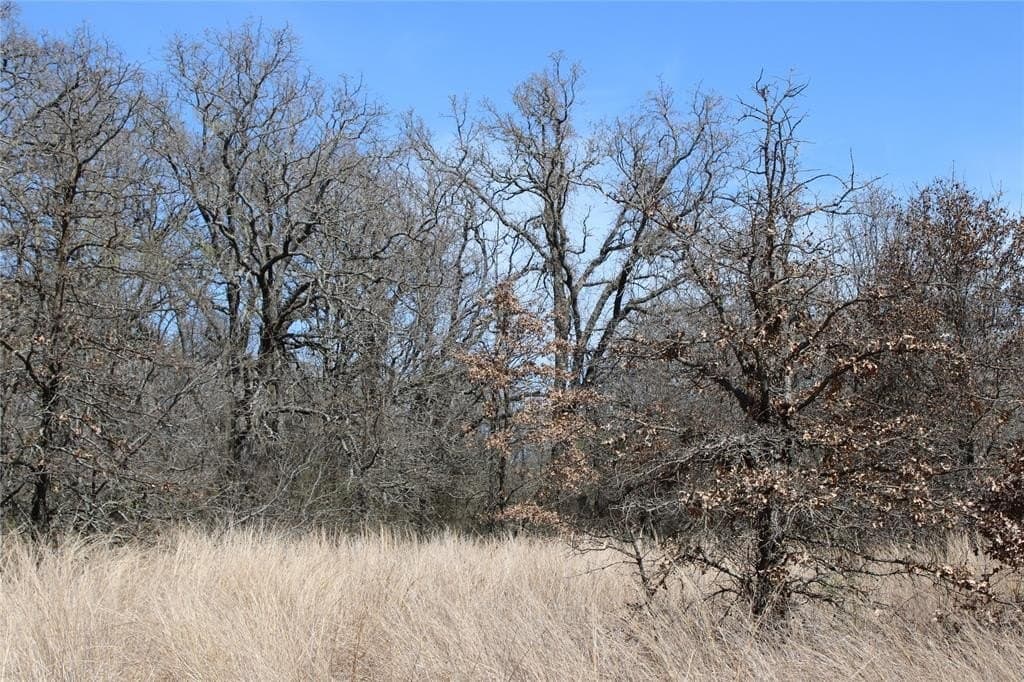 13.5 acres in Jack County featured view
