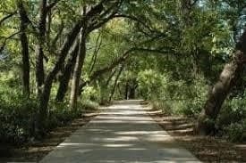 0.31 acres in Tarrant County - photo 2