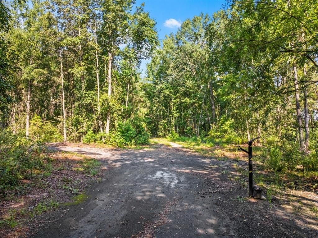 48.71 acres in Upshur County gallery image 4